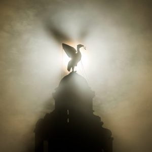 liverbird-by-night